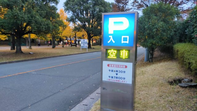 熊本県庁駐車場