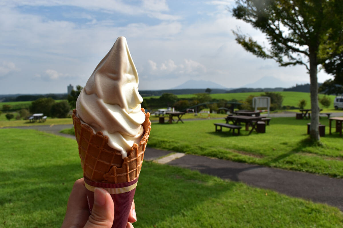 うぶやま牧場 ブラウンスイス乳ソフトクリーム