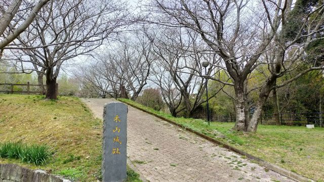 木山城跡公園の桜