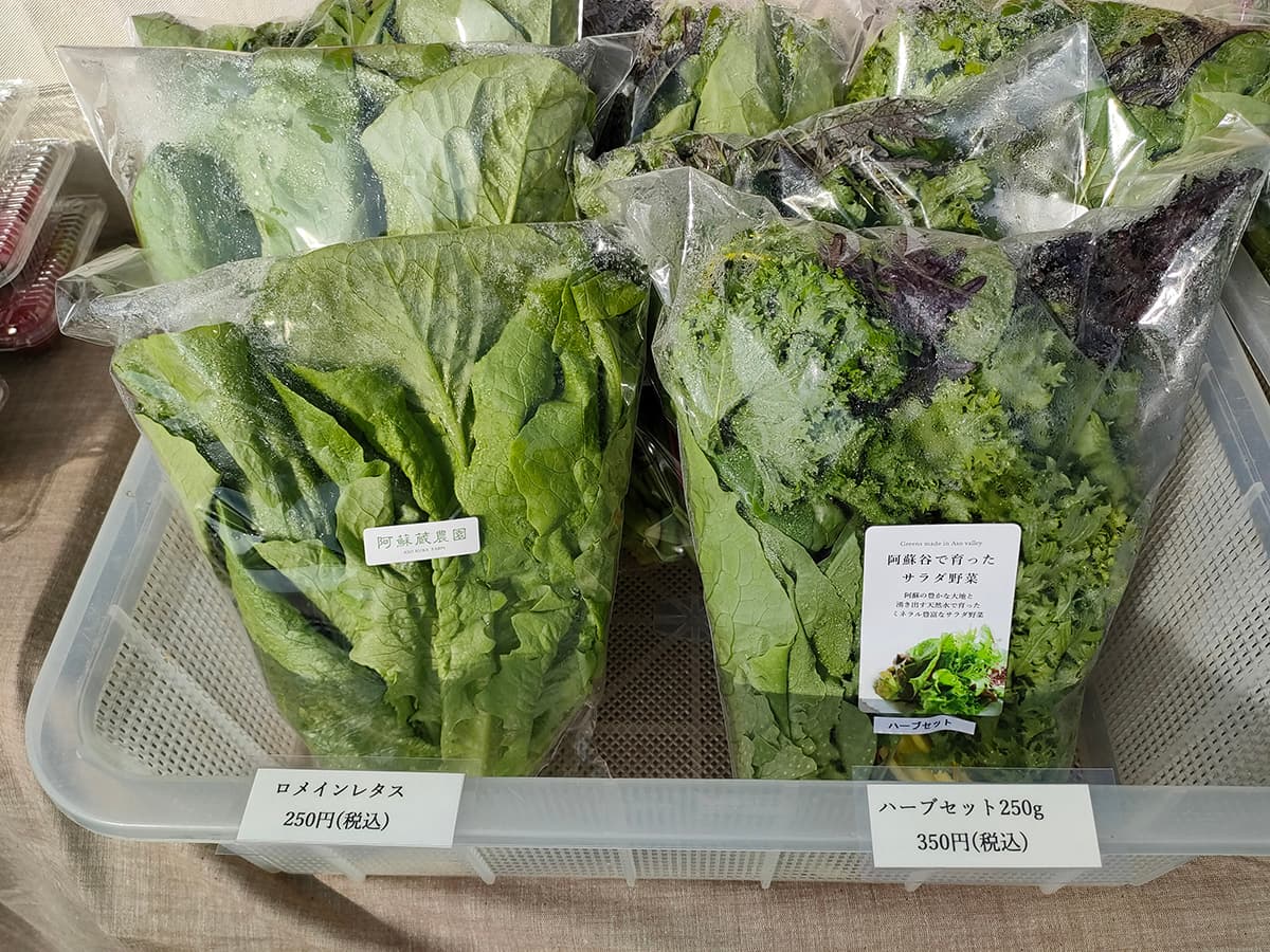 蔵バルマルシェ サラダ野菜