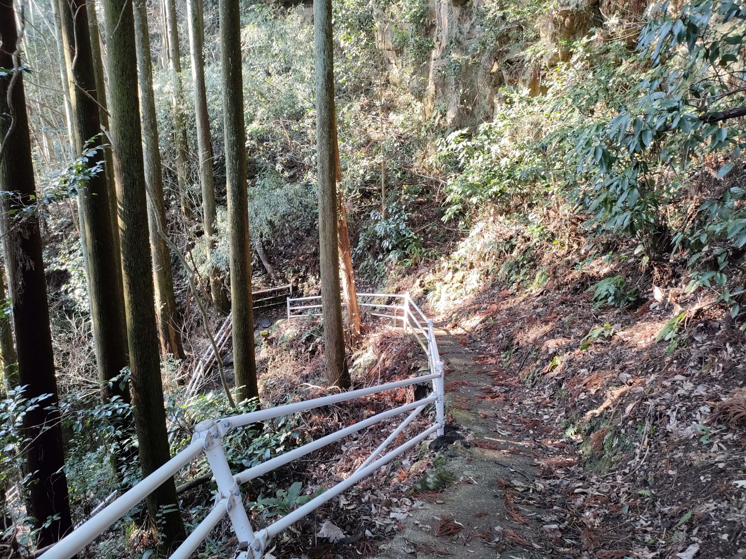 七滝 滝つぼ遊歩道
