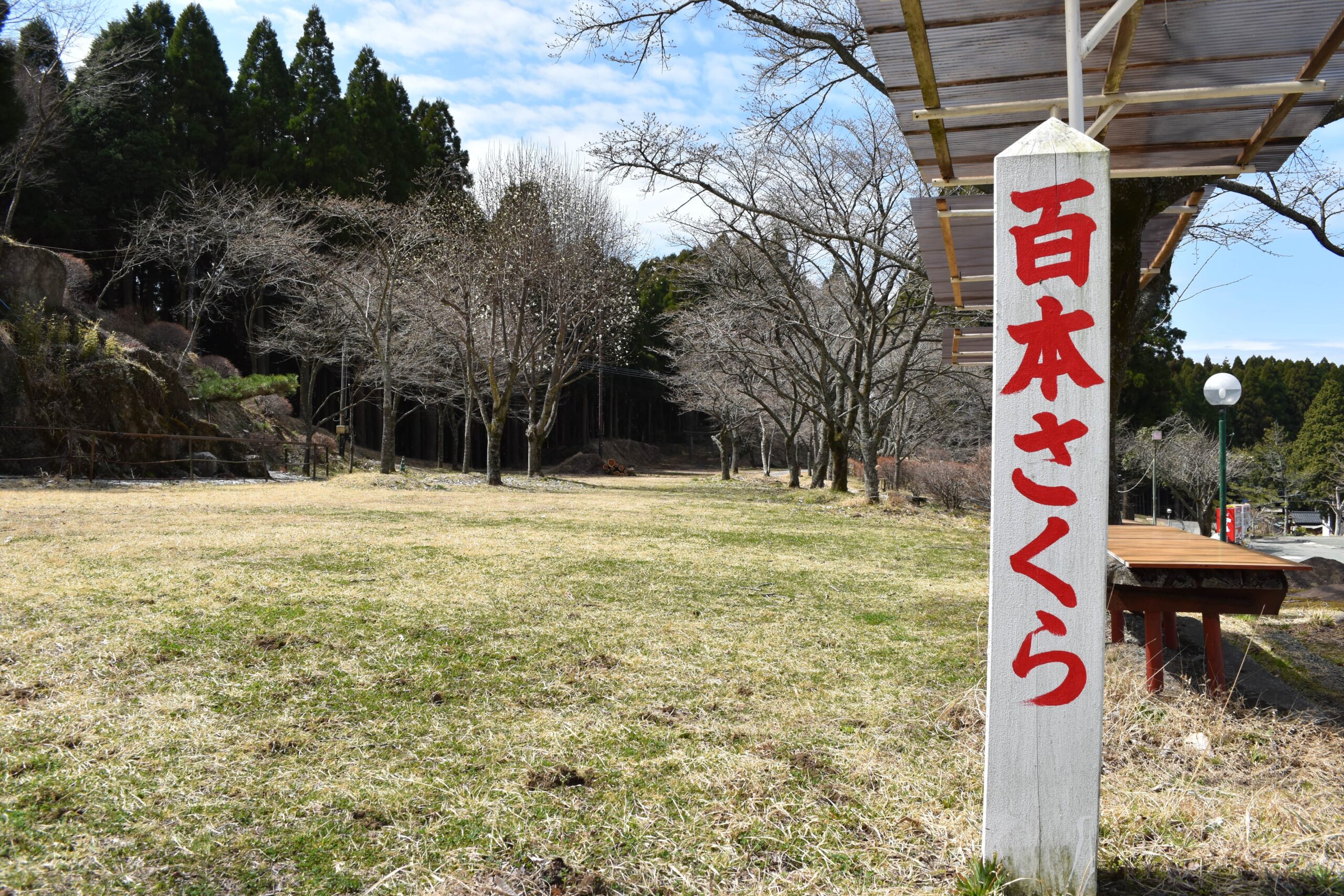 月廻り公園 百本さくら