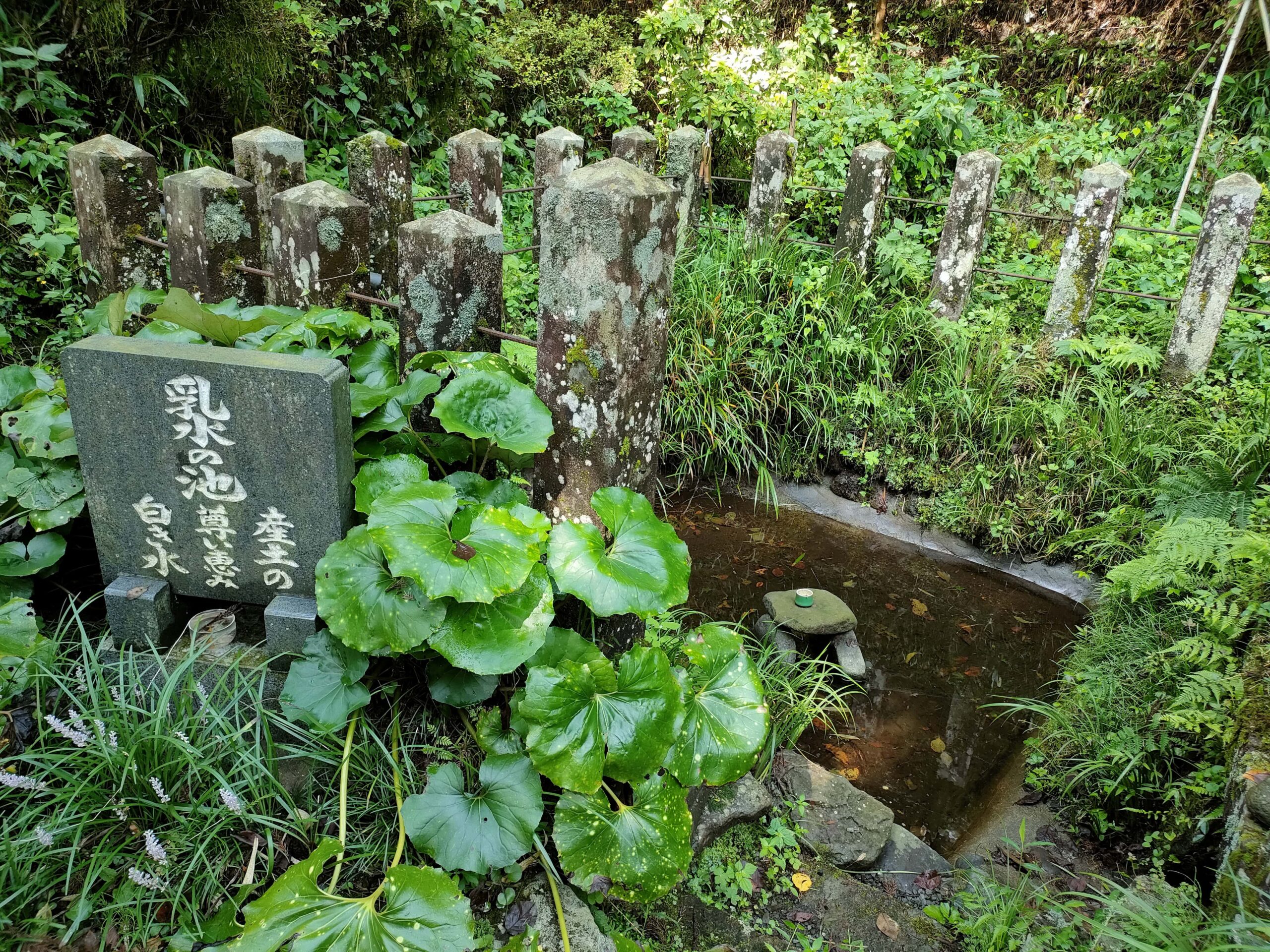 産神社 乳水の池