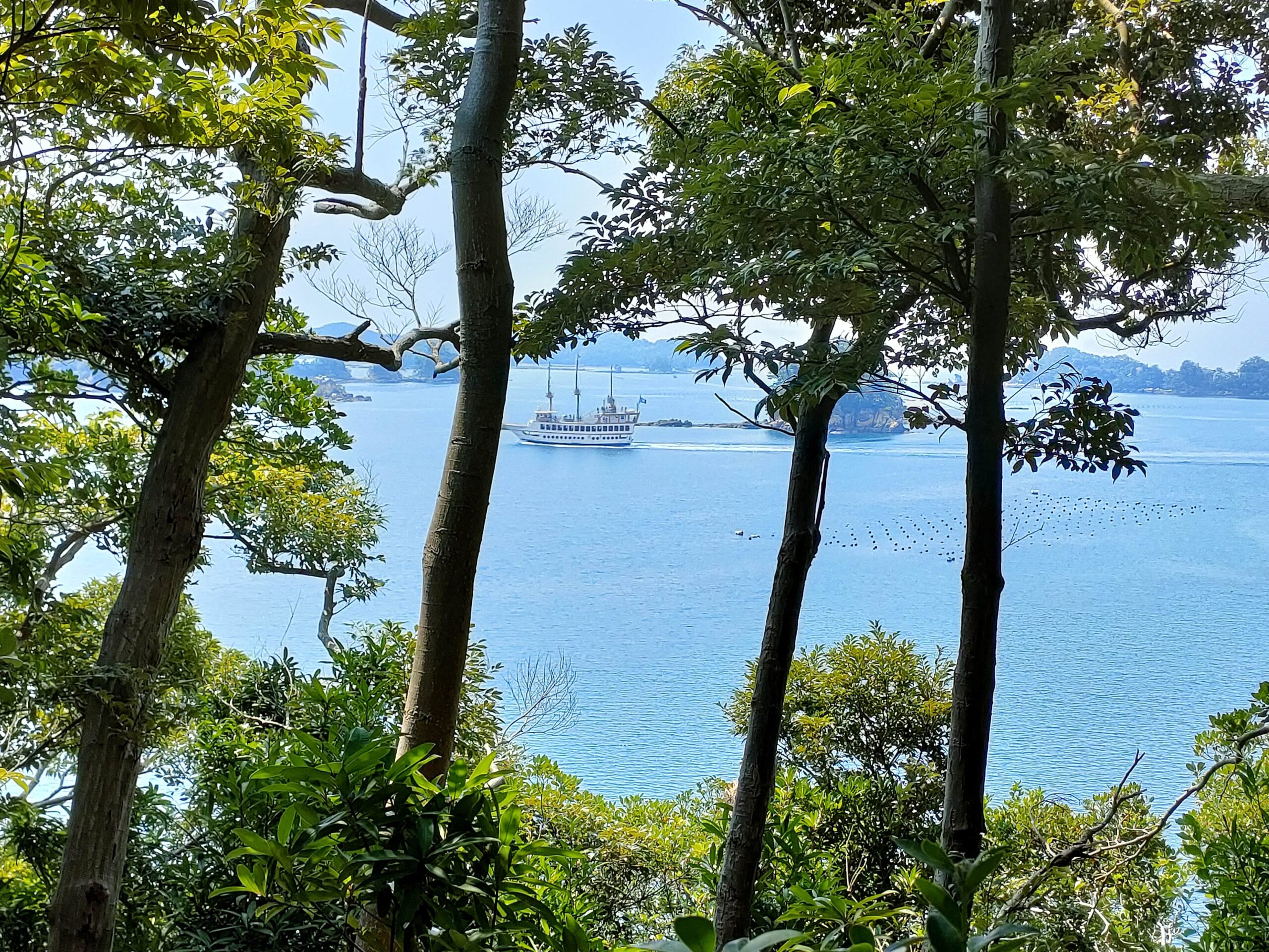 淡島神社 風景