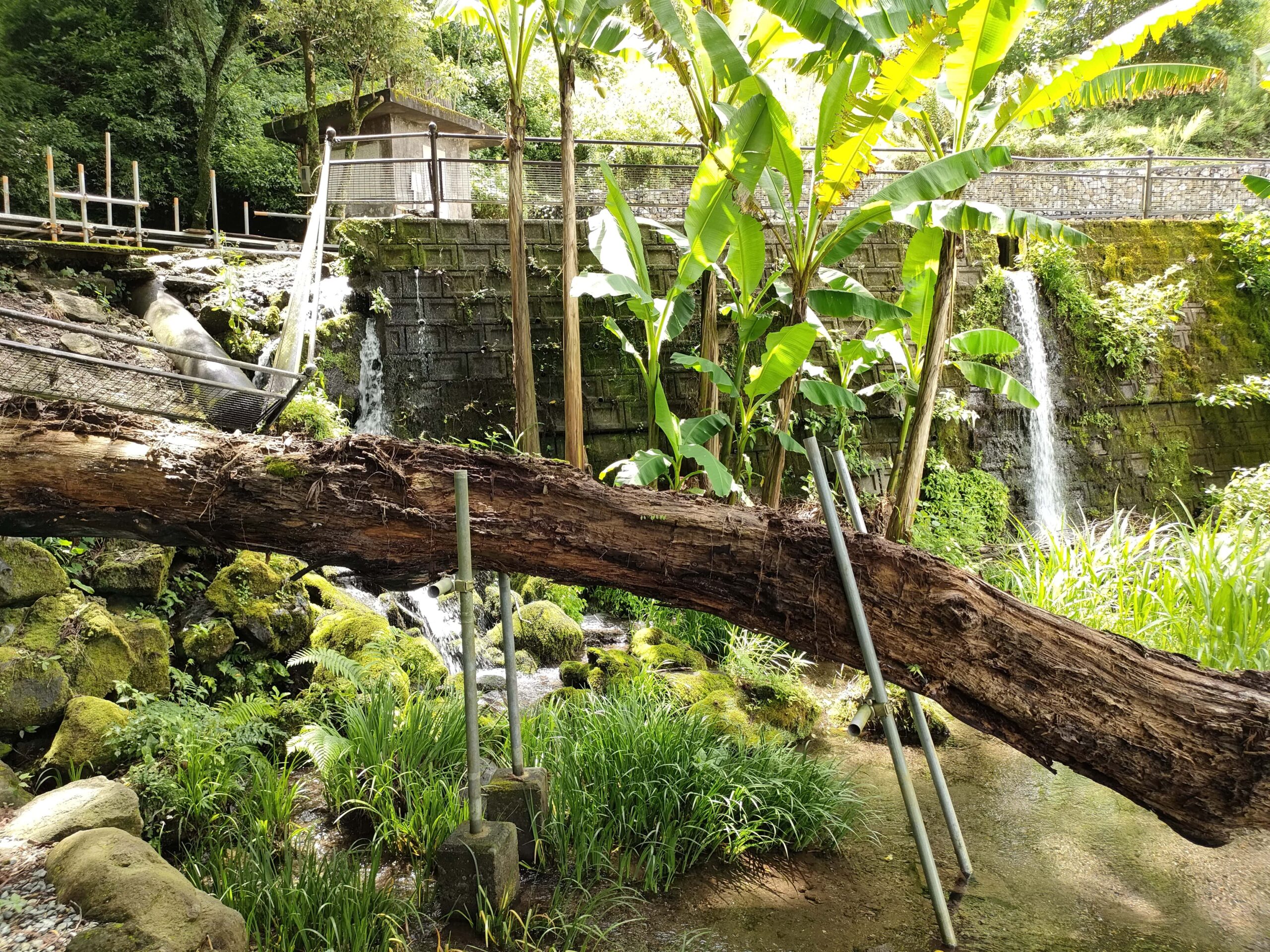 潮井自然公園