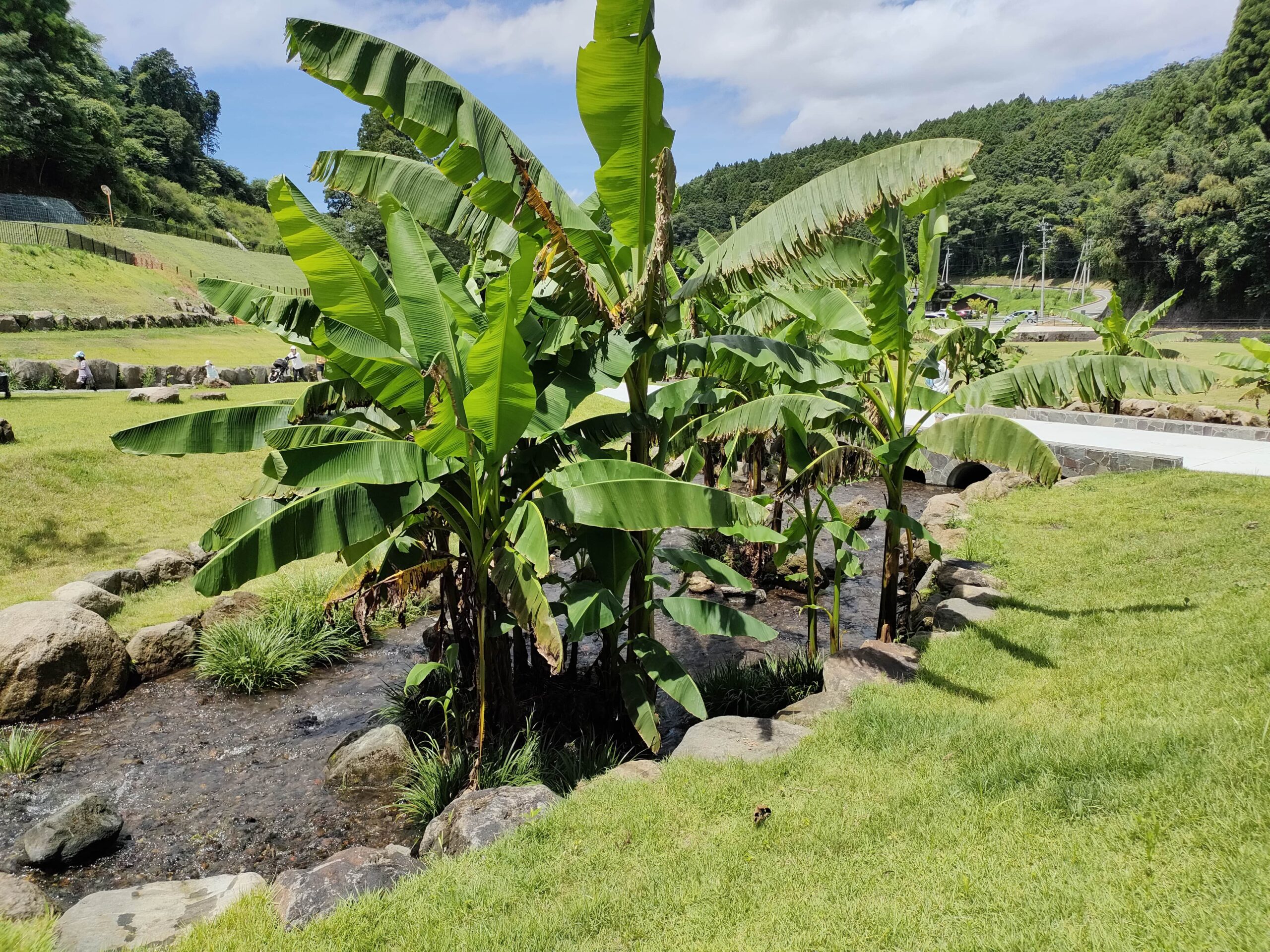 潮井自然公園