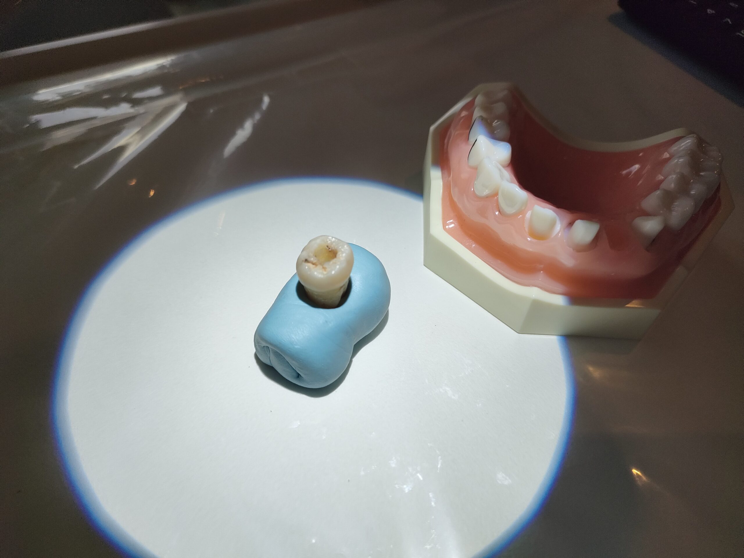 熊本パール総合歯科クリニック 中央院