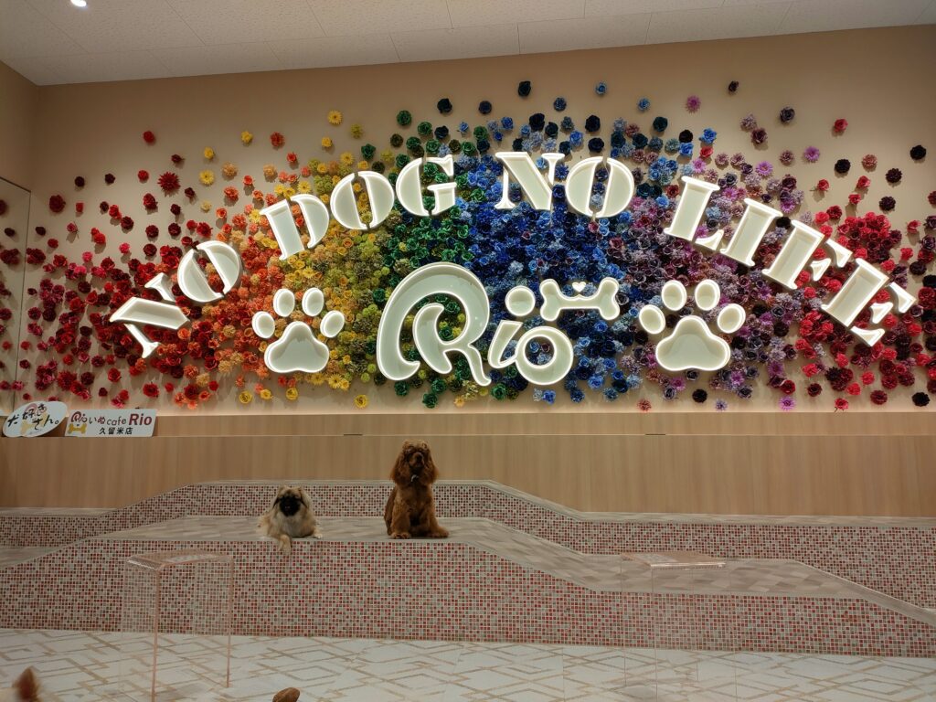 いぬカフェRio