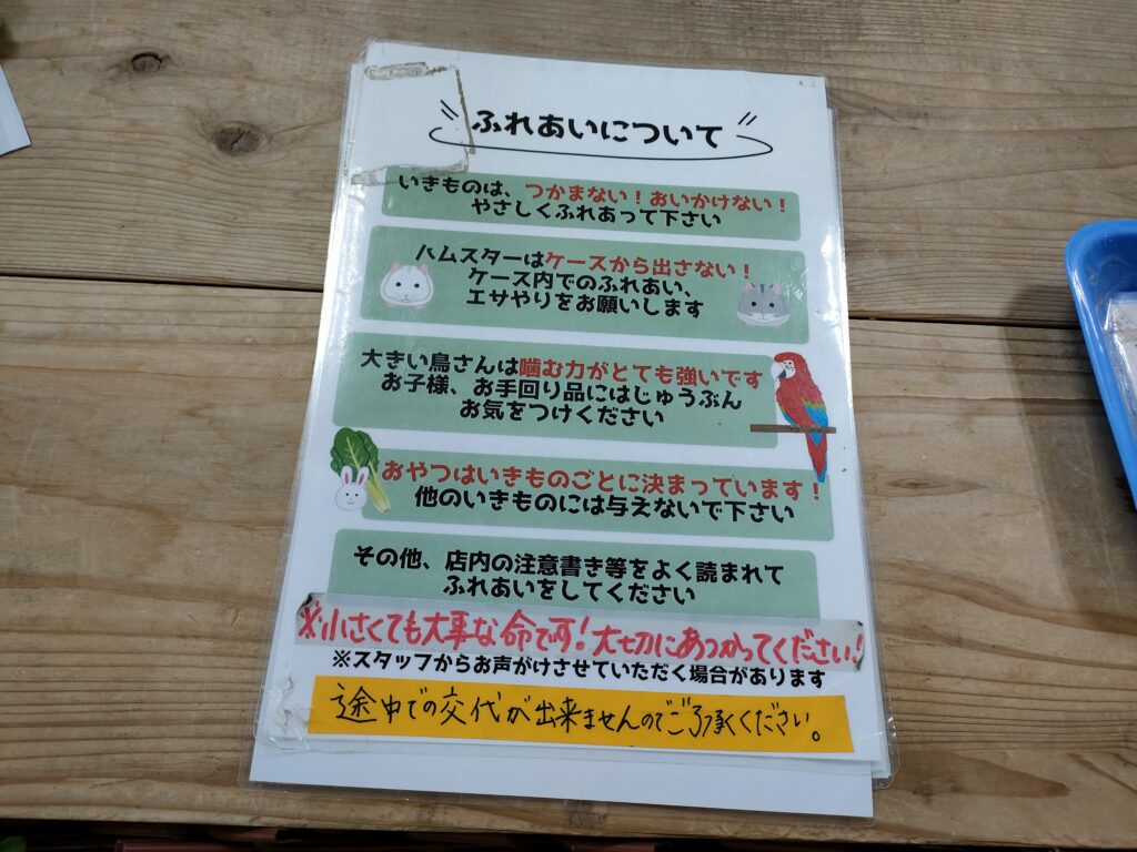 いきもの探検隊