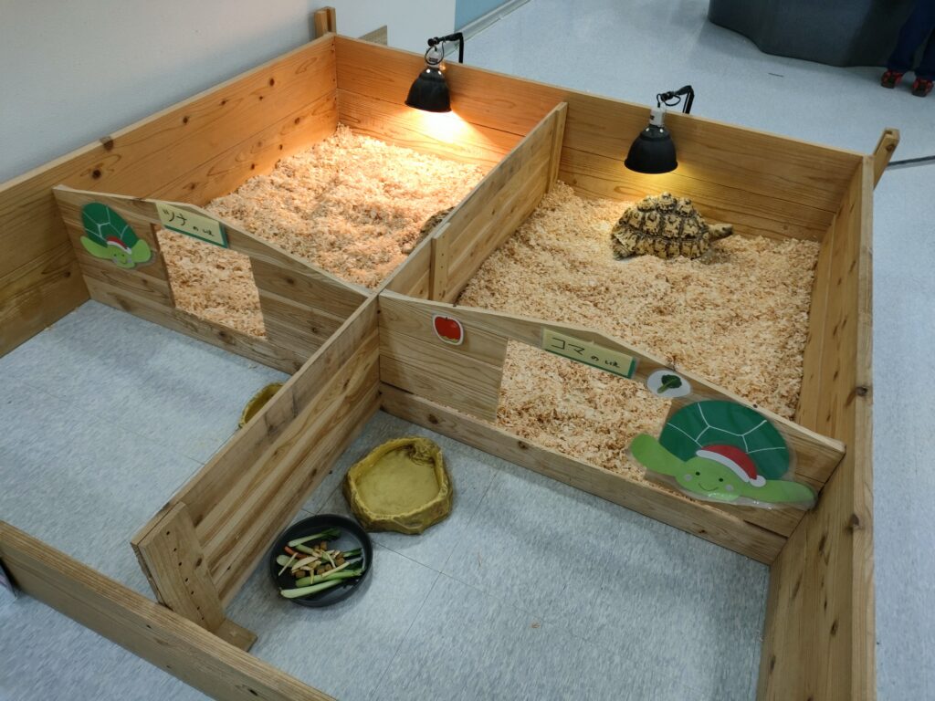 いきもの探検隊