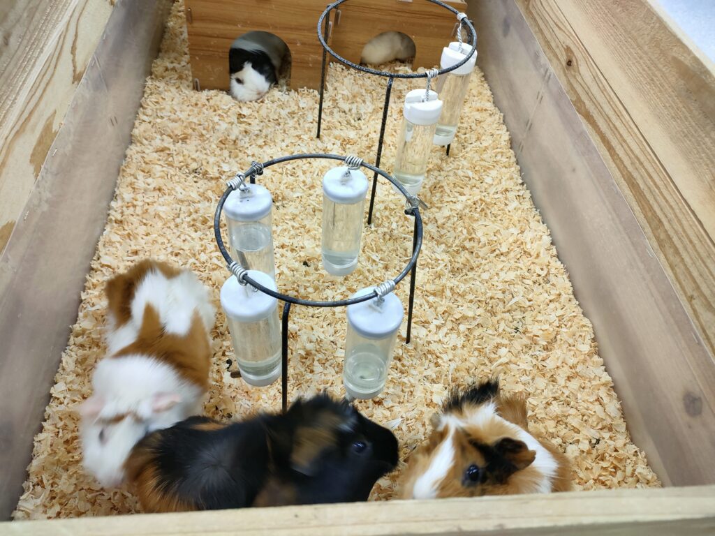 いきもの探検隊