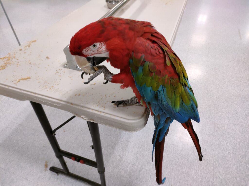 いきもの探検隊