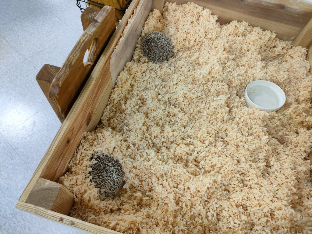 いきもの探検隊