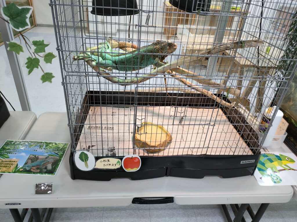 いきもの探検隊