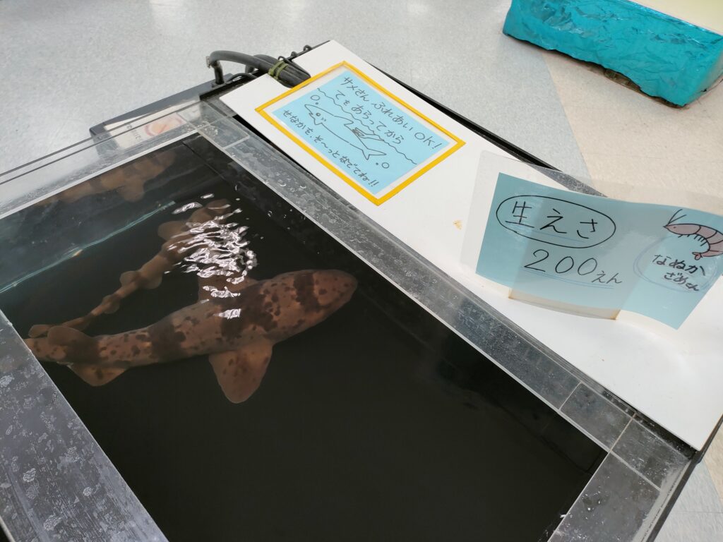 いきもの探検隊