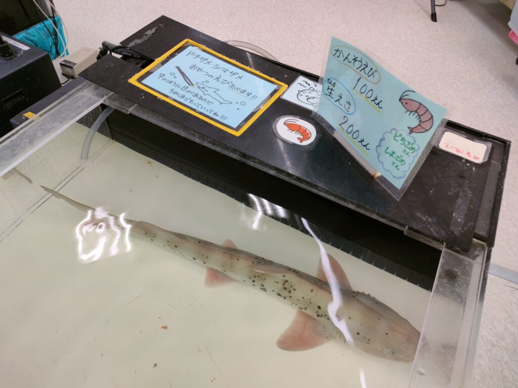 いきもの探検隊