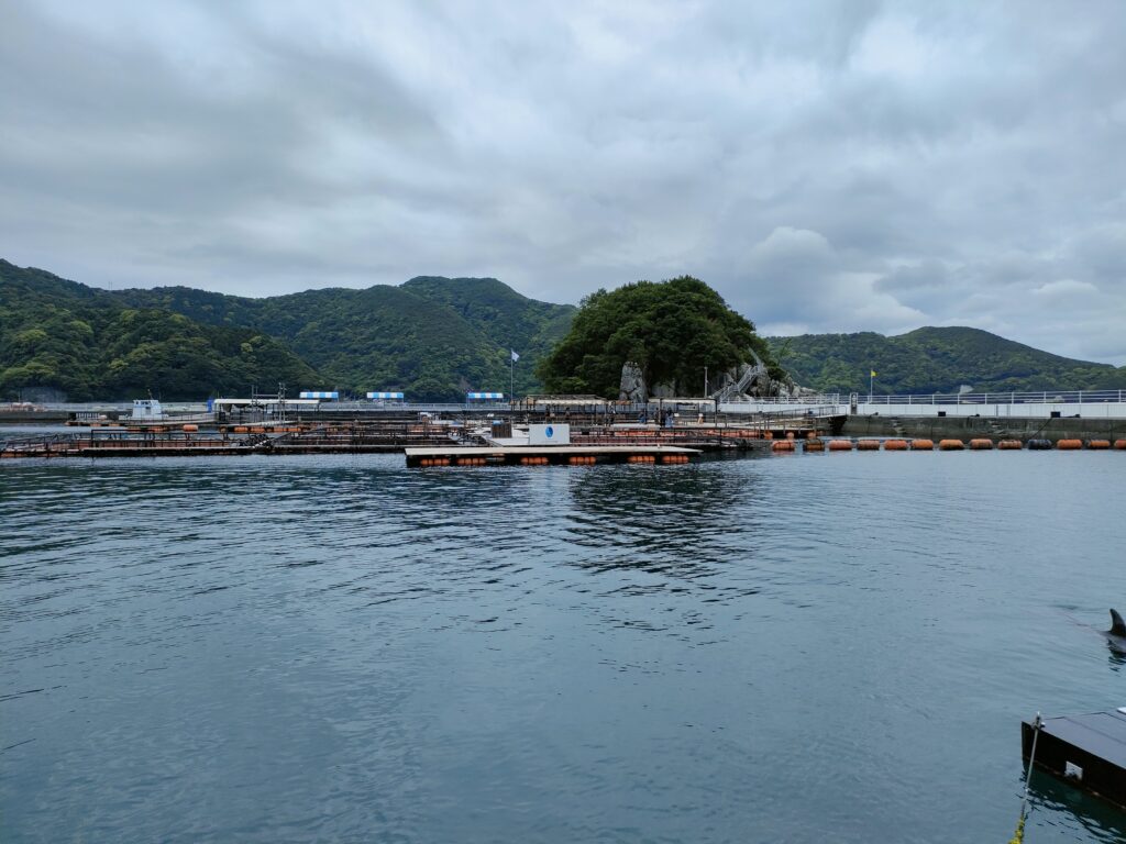 つくみイルカ島