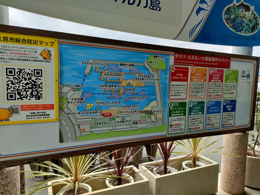 つくみイルカ島