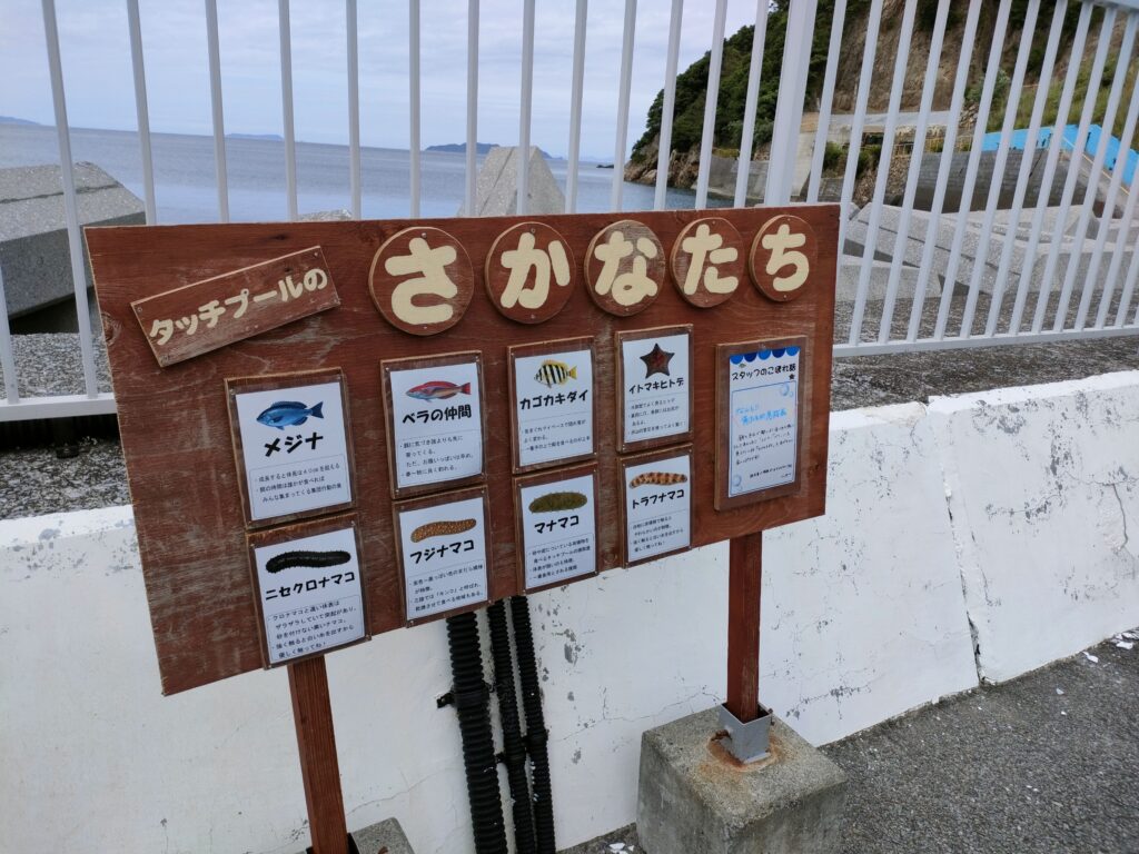つくみイルカ島