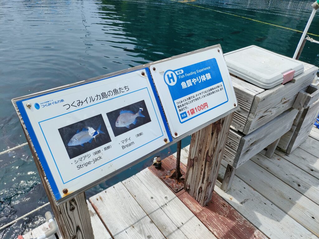 つくみイルカ島