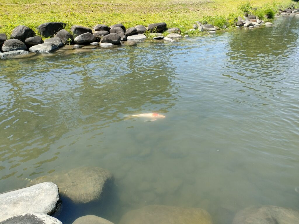 川遊び