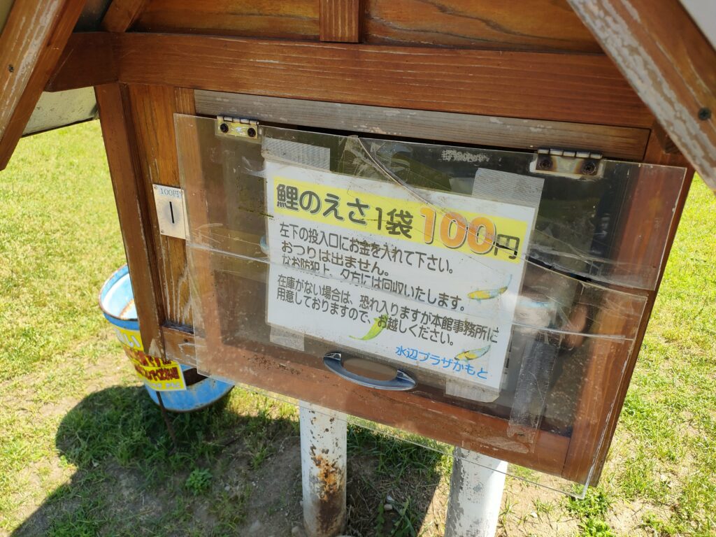 川遊び