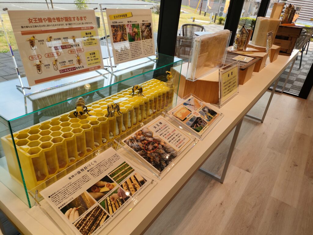 杉養蜂園 阿蘇みつばち牧場
