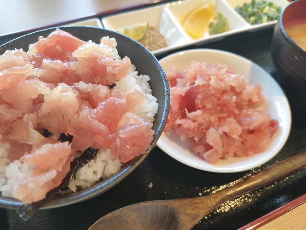 マグロノドン