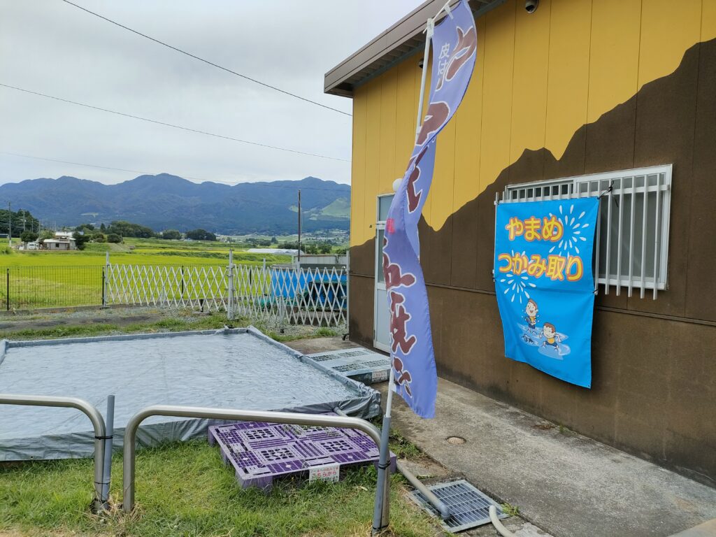 村上養魚場 六地蔵店